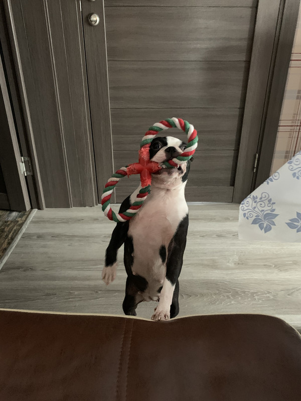 19B0285A-9403-44E1-806A-C1FB279CF2AB