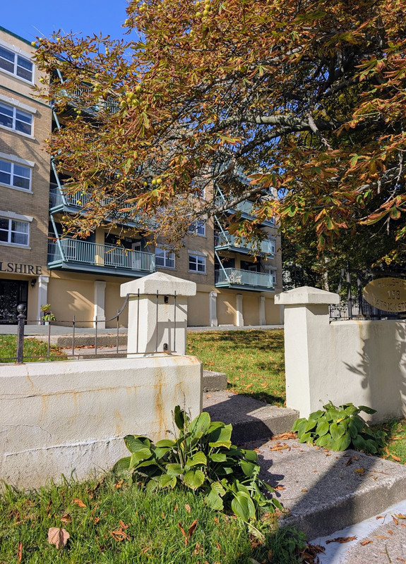 PXL_20251004_130944221.MP~2