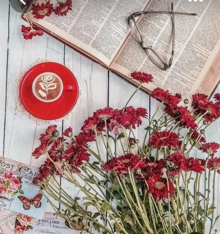 Screenshot_20230328_003850_Pinterest