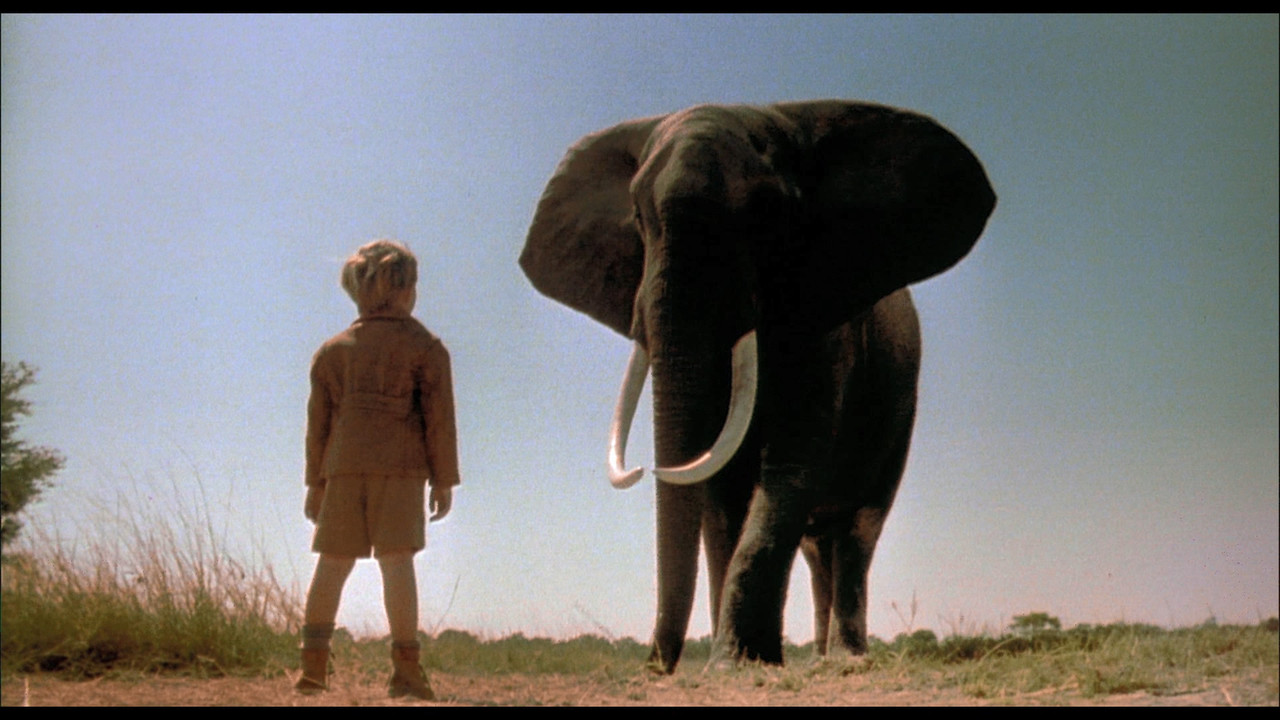 00002.mpls_snapshot_00.12.41.059