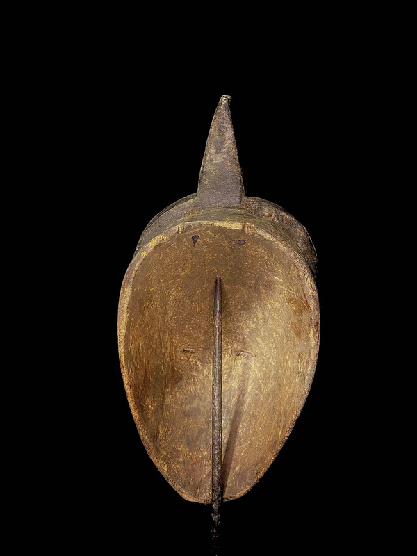 large image 11