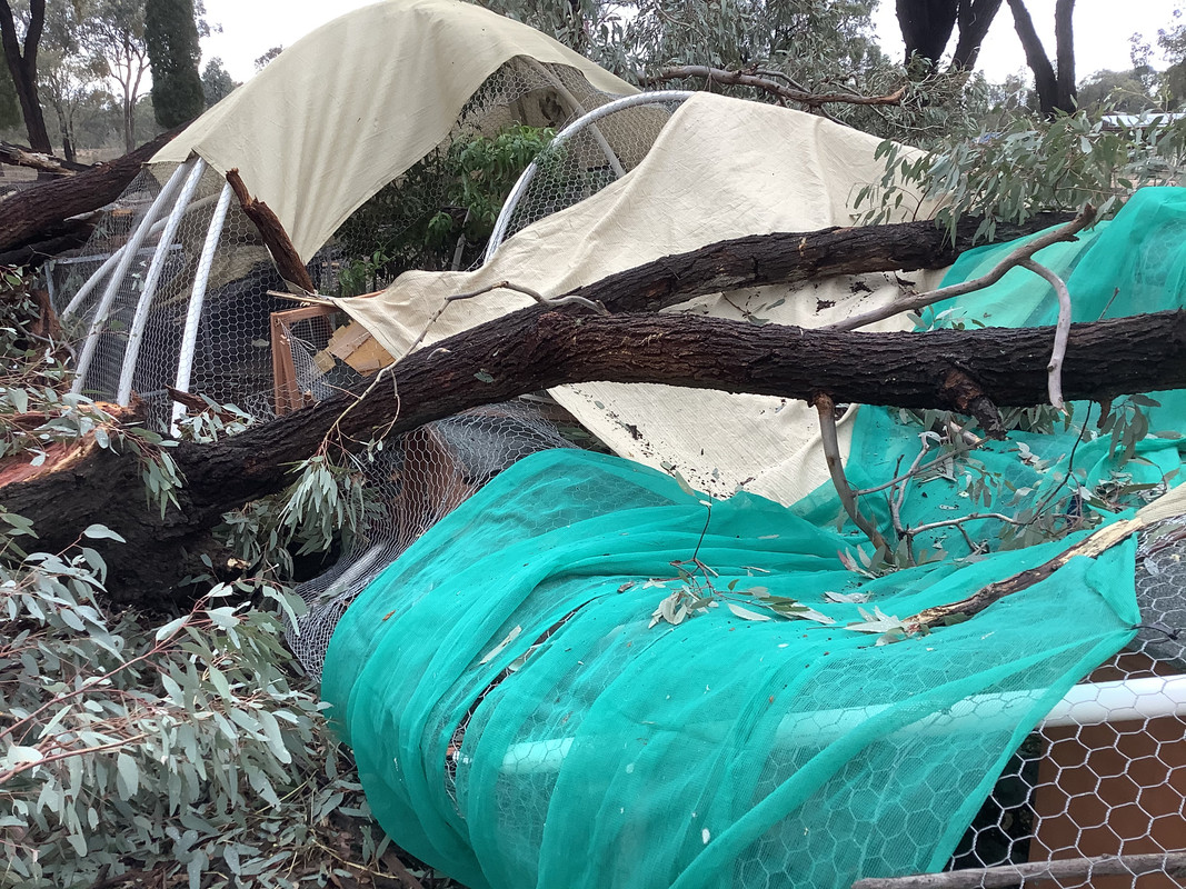 E8D618F0-FB8E-46FD-9B05-F9C207CB5EE6