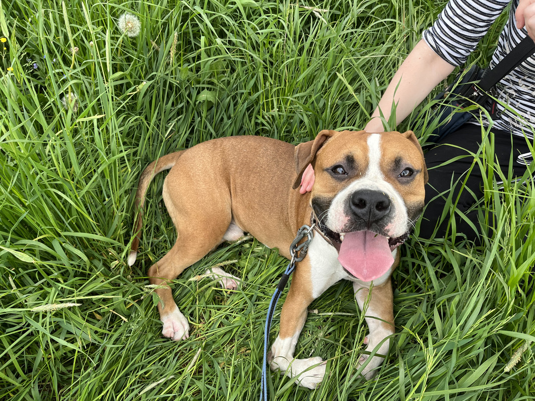 64A8197C-4602-4106-AFE2-9BA0FD263BA6