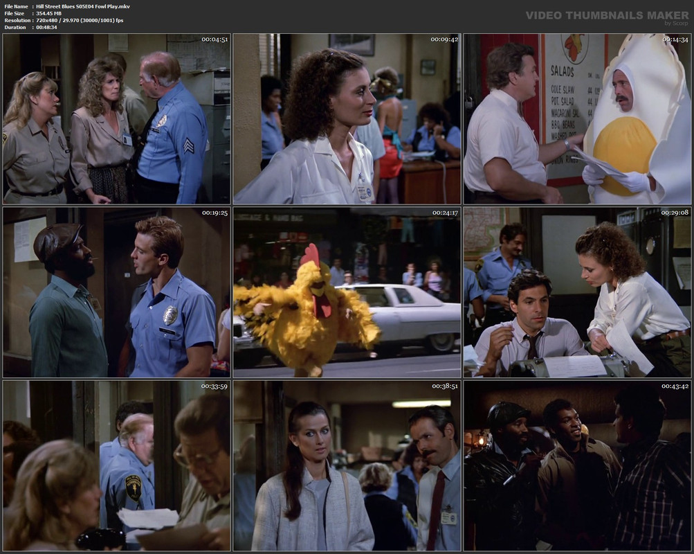 Hill Street Blues S05E04 Fowl Play.mkv