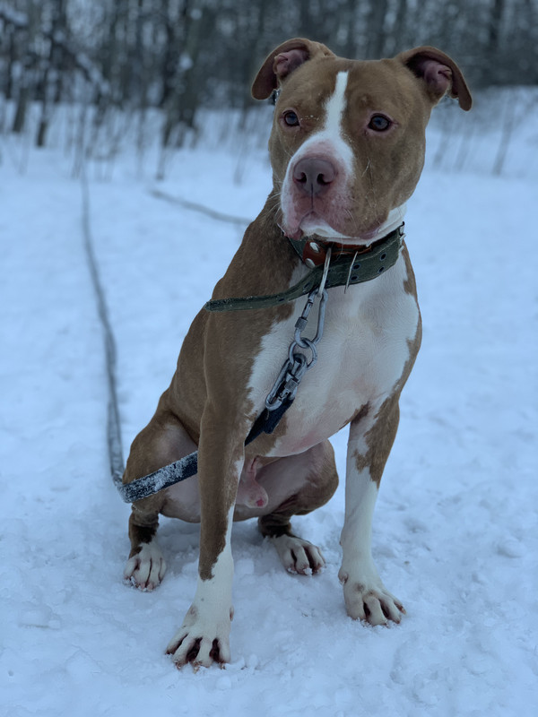 9A769A90-FC20-4033-89BE-ED488CAEBCA5