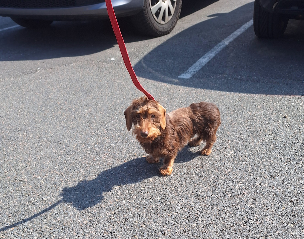 [Image: 20240826-160420.jpg]