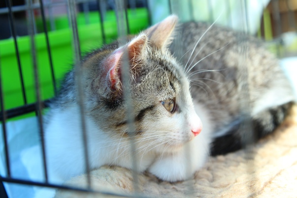 1F3E0D68-F59D-4E7B-AA4E-82D9938C3098