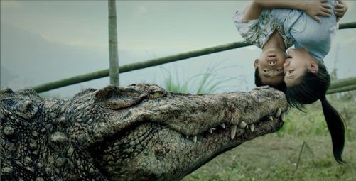 Million Dollar Crocodile 