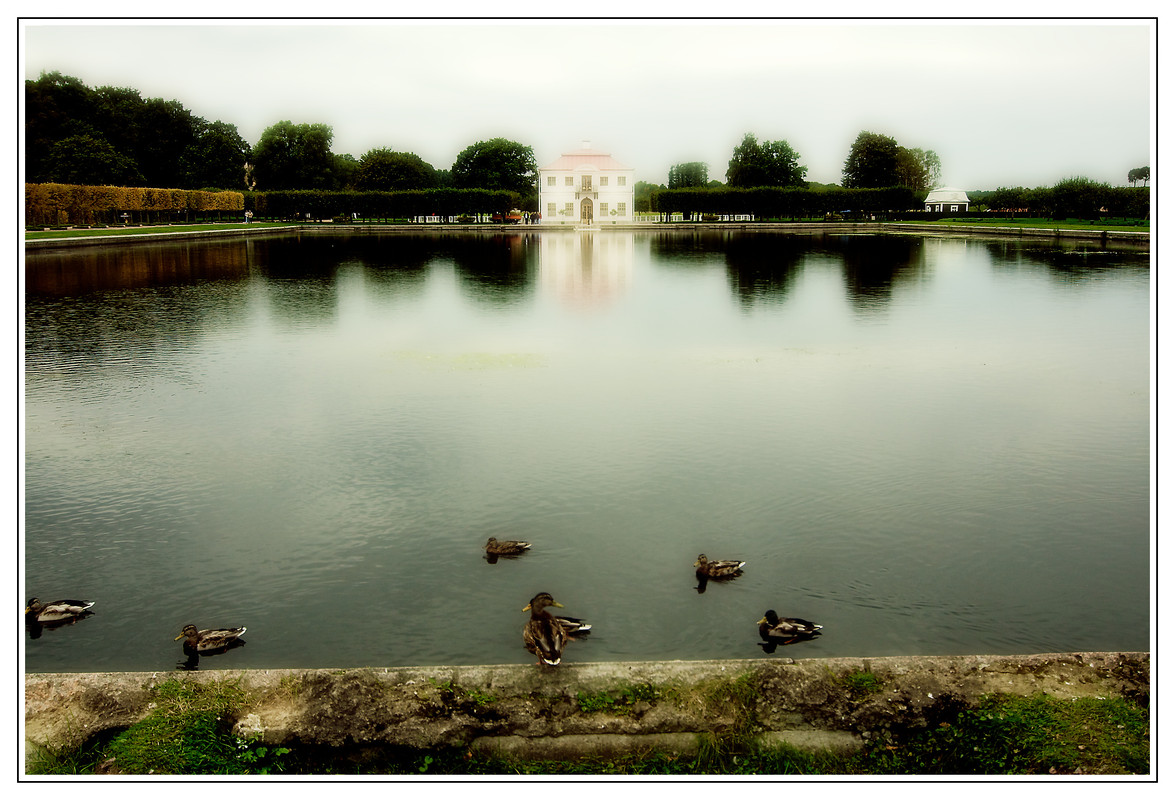 20120130-418-Питер