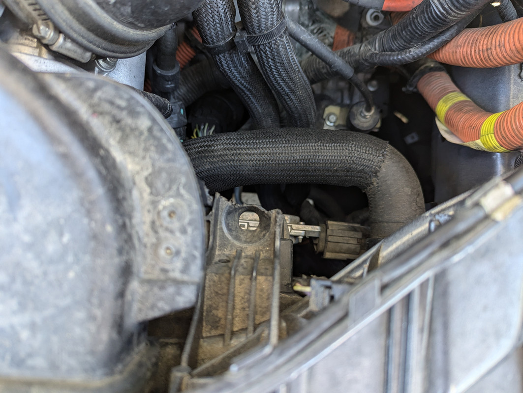 PXL_20240620_151636435.MP