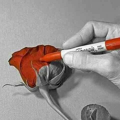 a53b36b15f43033d1ce42c76840456e8