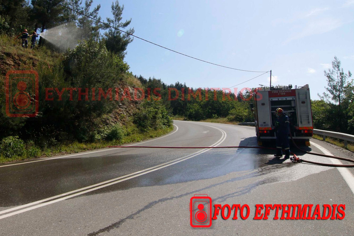 494232689-1453516408961849-1509787242125960469-n