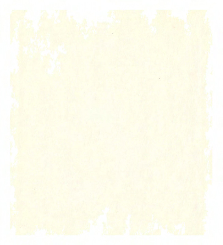 page-0004