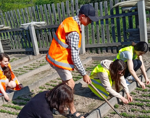 Лісова діяльність