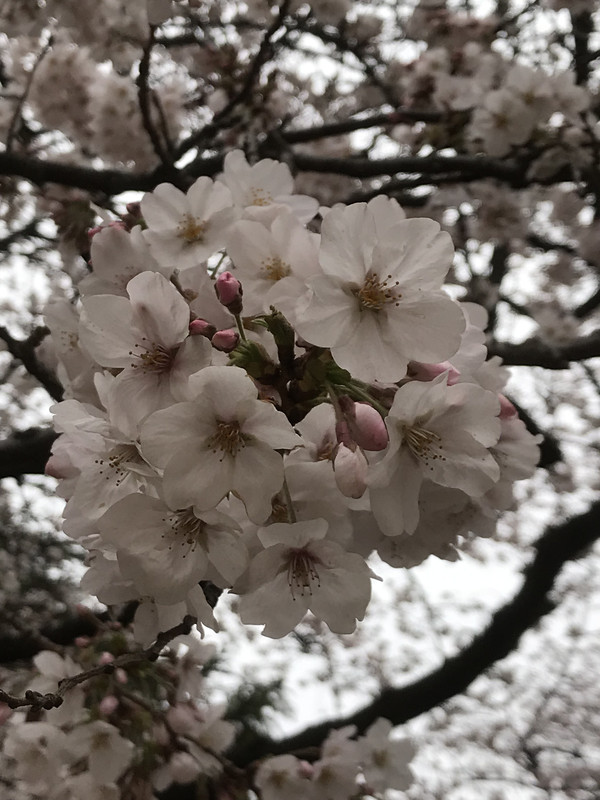 A843D2B6-0F91-439B-8E35-E1A5ACE3361D