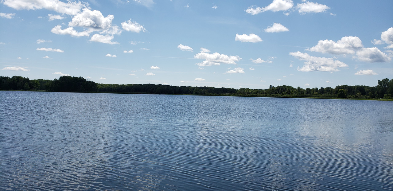 20230729-135858.jpg