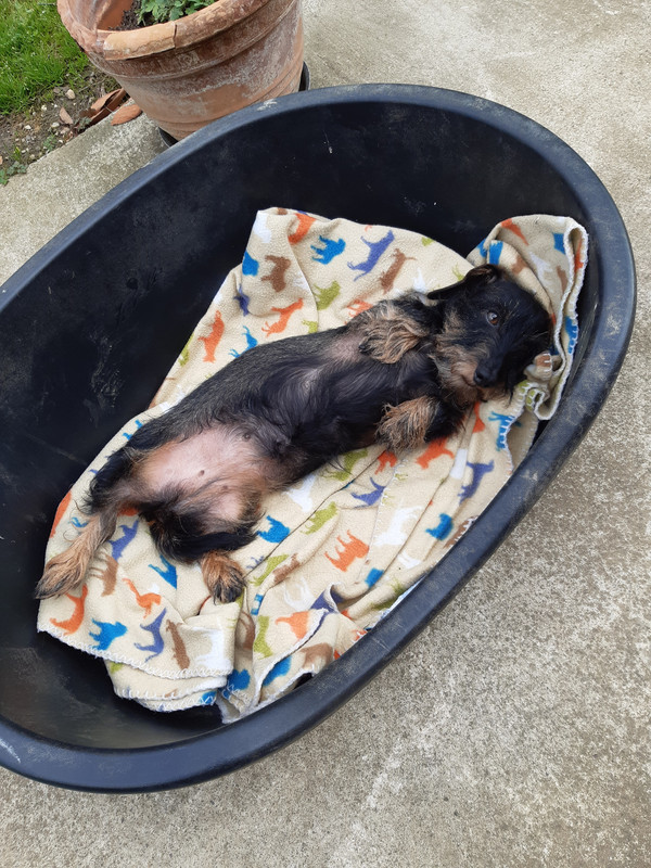 [Image: 20230330-153143.jpg]