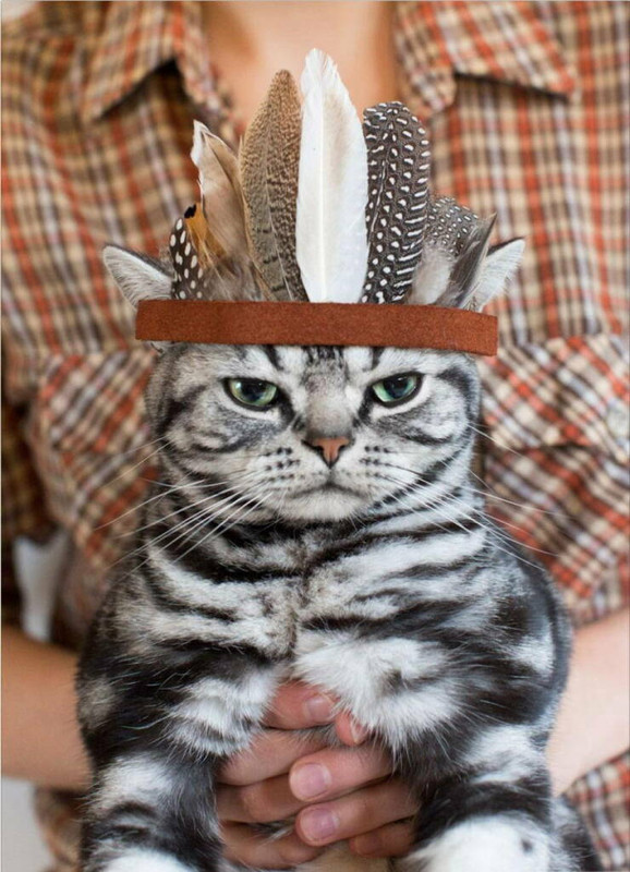 morning-picdump-38-8.jpg