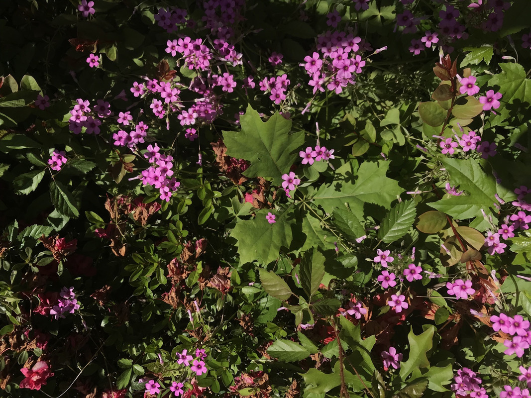 D46B7DDE-CDA7-4967-A761-230E35600813