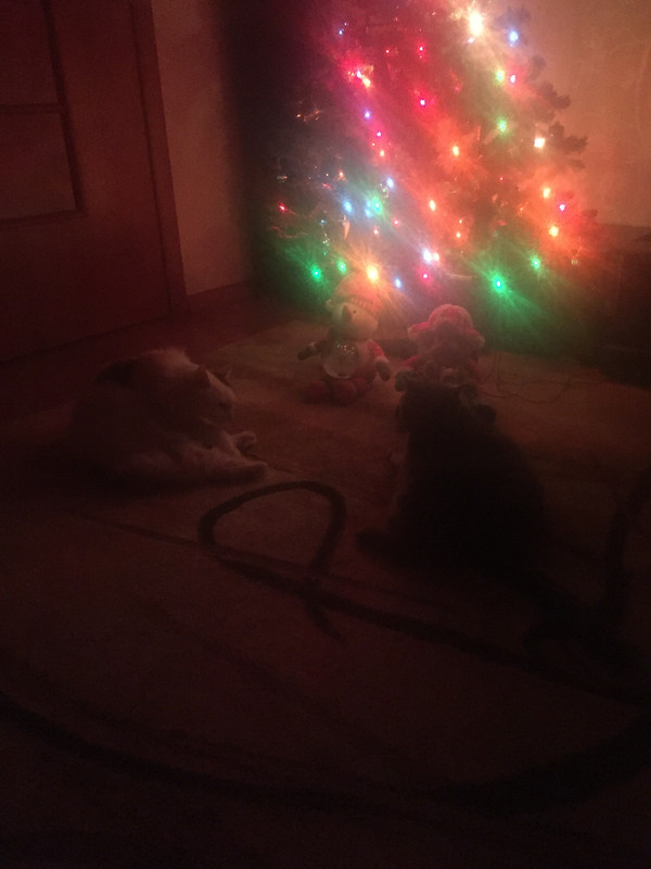 7E86C02D-82E3-47A9-B0C1-209C58828E22