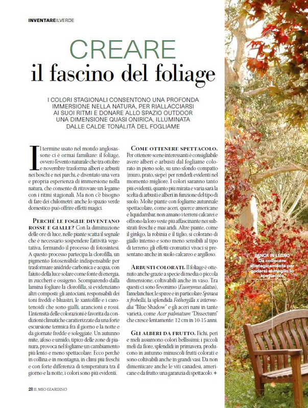 Il Mio Giar Ott-Nov 2024 (11)