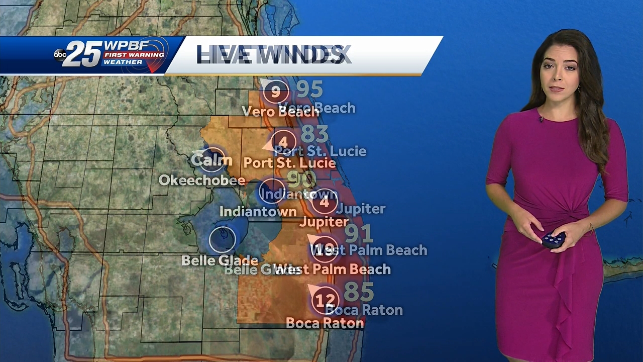 10.07 - 14.00.00 - WPBF 25 News at 9 00 AM..ts_snapshot_00.24.43.860
