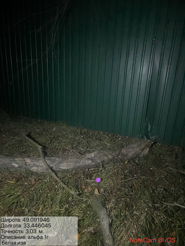 photo 12 2025 11 25 12 44 15