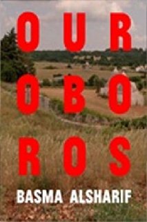 Ouroboros-2017-WEBRip-x264-ION10.jpg