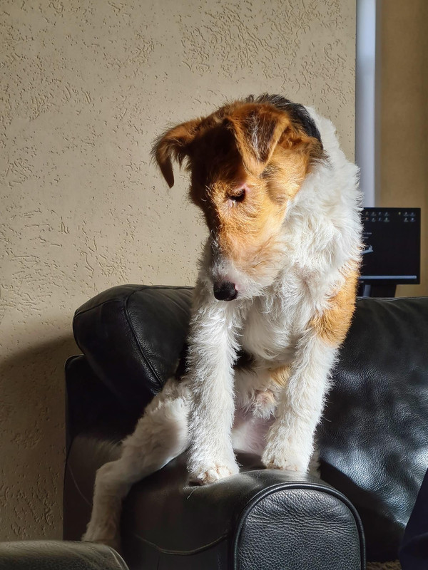 D6A16177-D064-43B9-8F33-790D64BFA60A