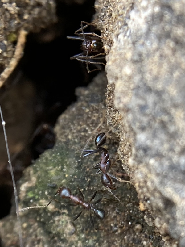 731BEE93-D2E5-47BC-863E-2E7F3BD39E9A