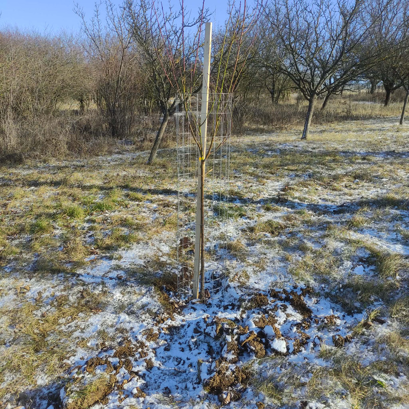 607349361 1378524953730982 2771599962292294047 n