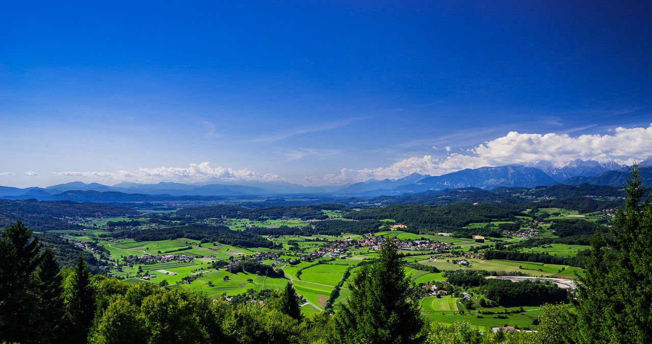 N-48870048243-c0742a066a-k.jpg
