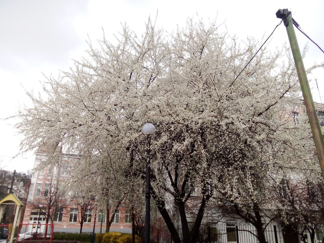 photo_2025-04-01 8.17.46 пп