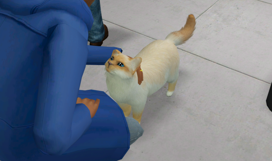 Sims2-EP9-RPC-2021-04-04-14-58-20-42