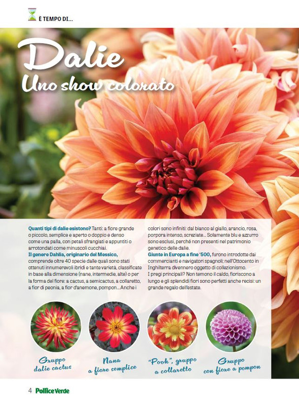 Pol Ver Ago 2024 (1)