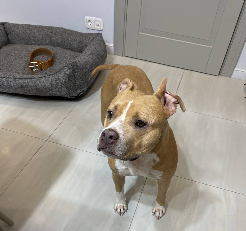 8C60AA58-440E-4BA0-BB1A-481E6BD6AFD6