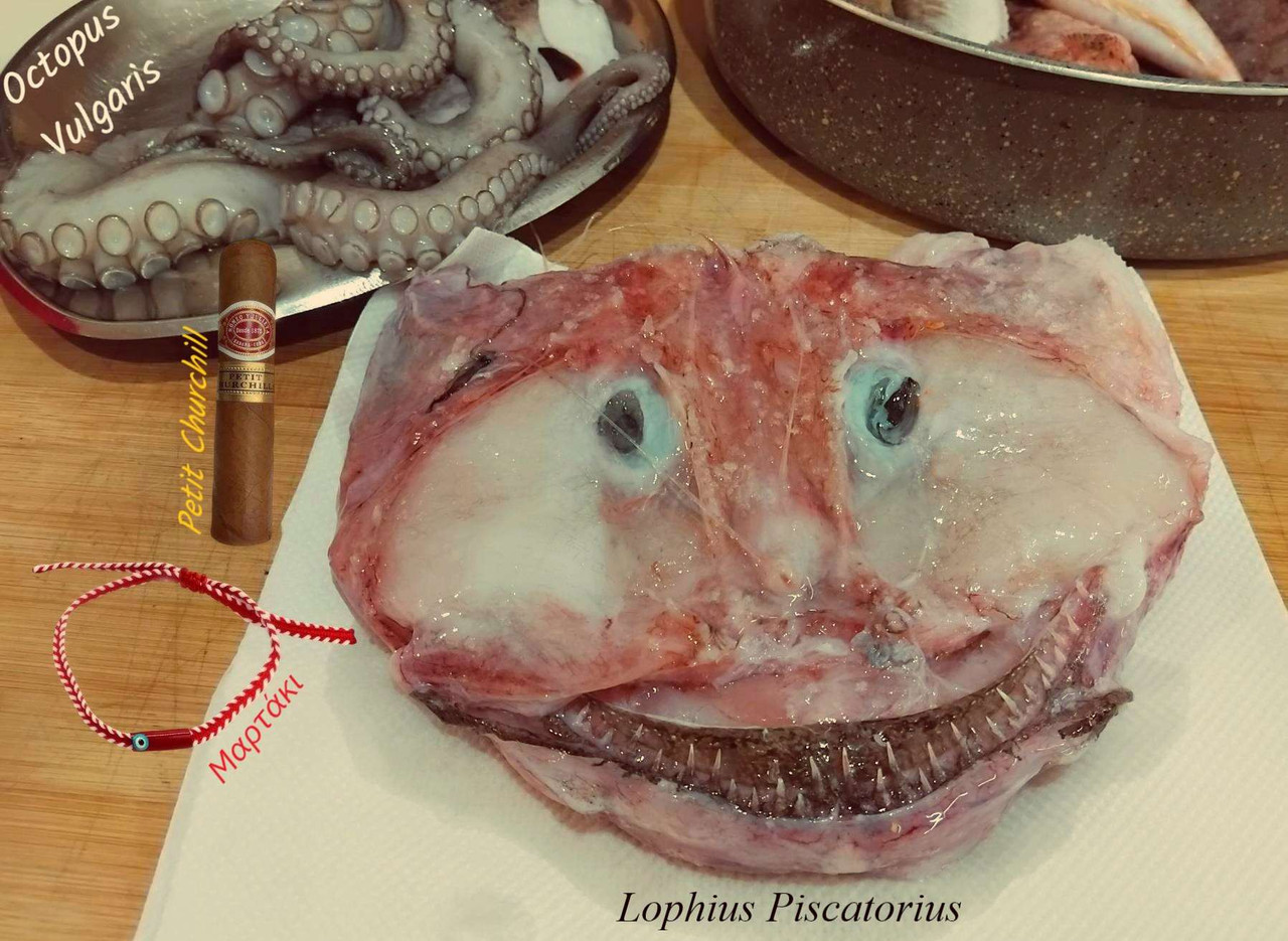 pesca romeo petit churchill review