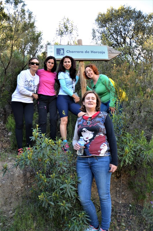RUTA LA CHORRERA DE HORCAJO-5-5-2015-CIUDAD REAL - Paseando por España-1991/2017 (15)