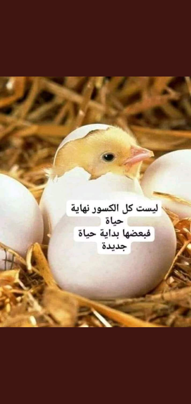 Screenshot_٢٠٢١٠٥٠٤-٠٣٣٣٢٦