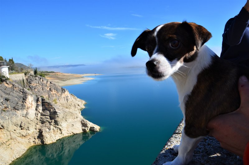 PRESA Y EMBALSE DE BUENDIA-7-11-2015-GUADALAJARA - Paseando por España-1991/2016 (6)