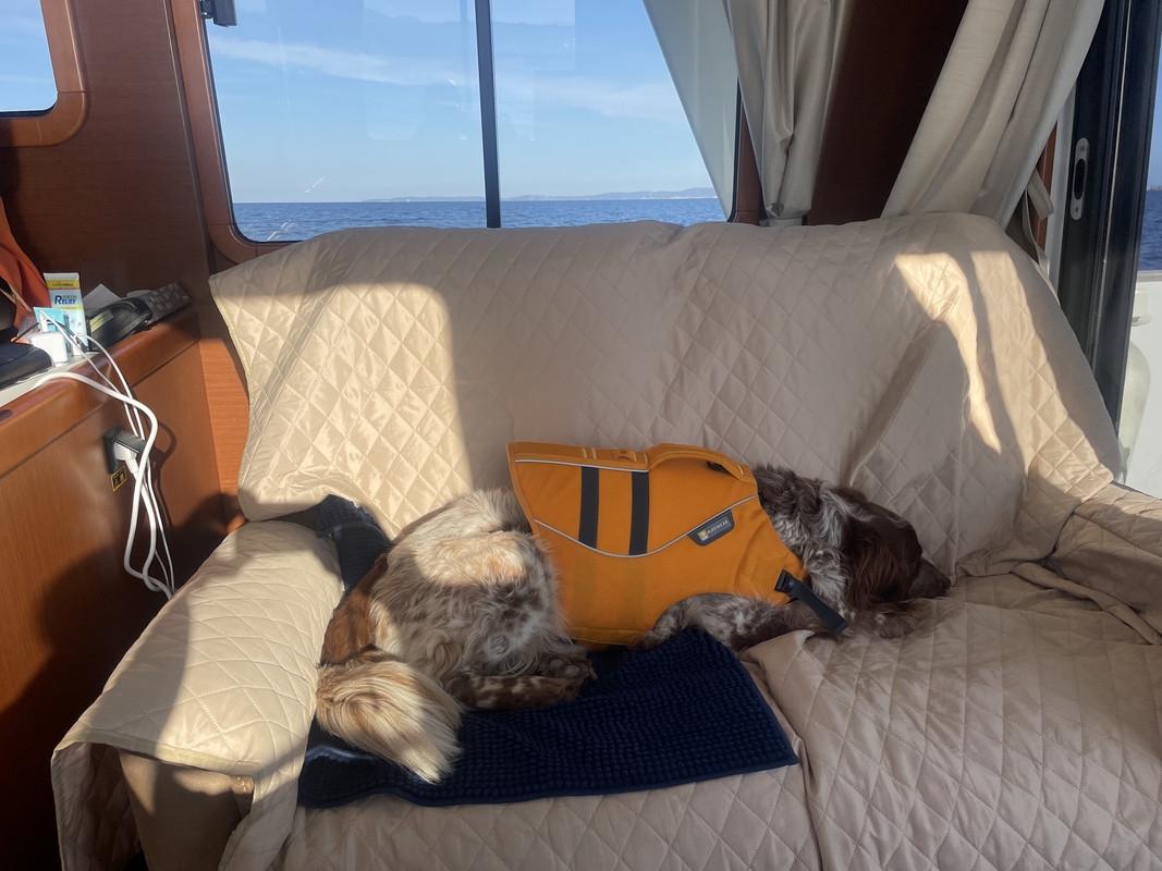 7BBA8B80-6C2D-4313-921E-EE106204C279