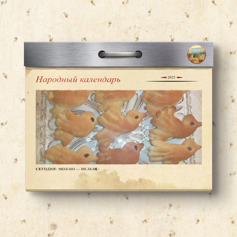 Без названия (5)