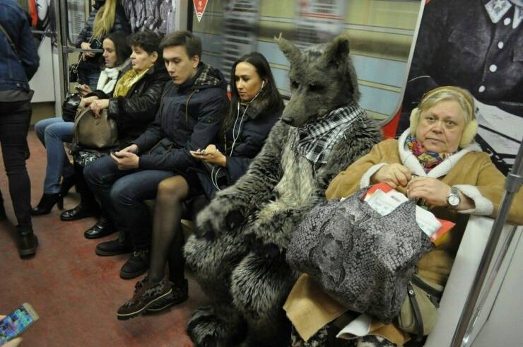 daily-picdump-5.jpg