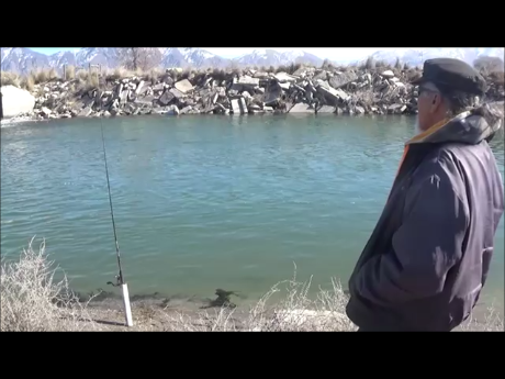 Snapshot 2 (2-22-2022 6-20 AM)