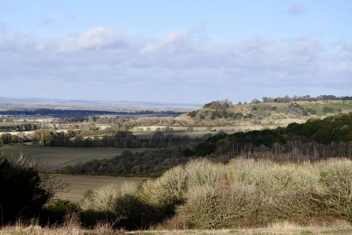 79C8862E-A060-4631-89FC-877D74CDD516