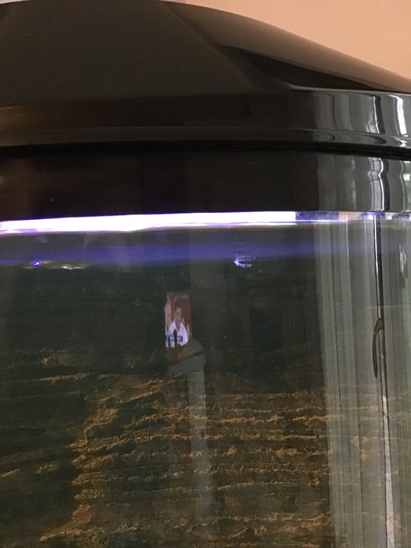 1B57CA2F-F0D9-45B1-99E7-14B2027AEE49