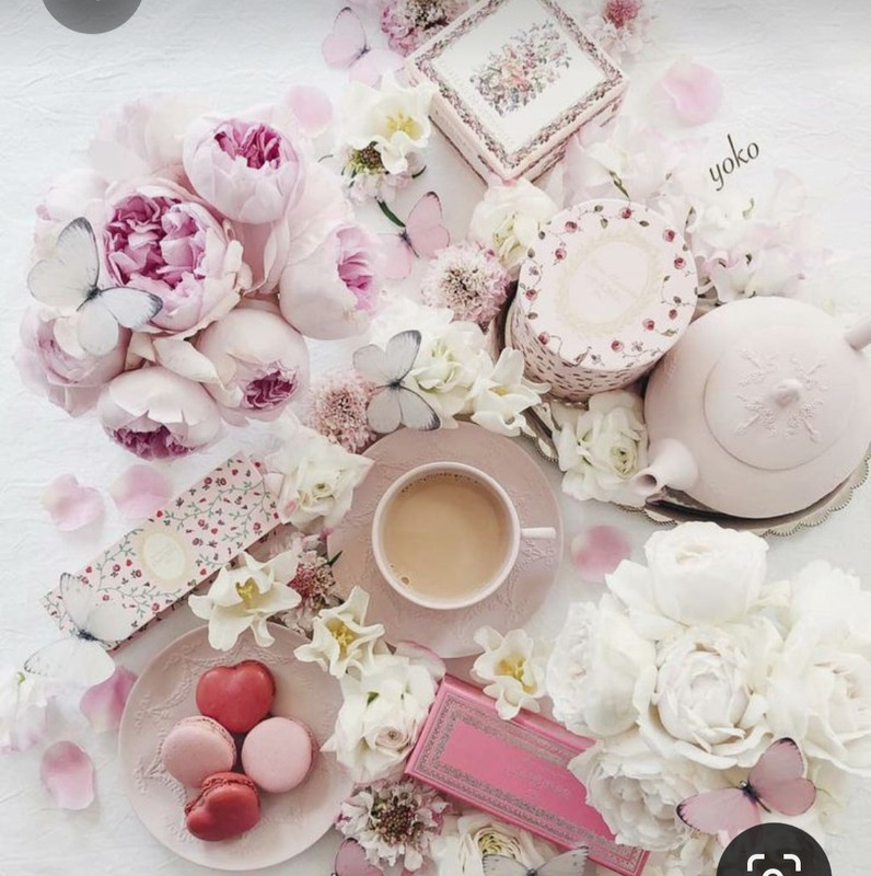 Screenshot_20230407_235723_Pinterest