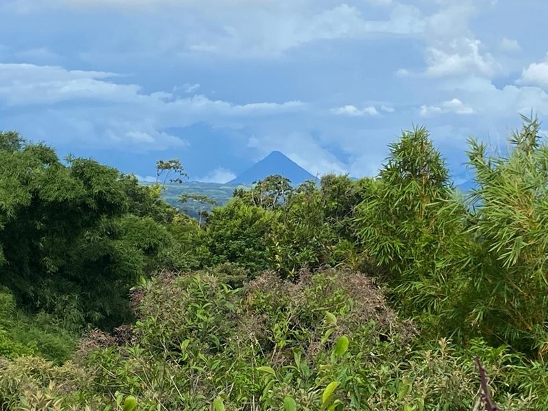 BBD685F5-5980-4E8C-A609-8490F5F06466