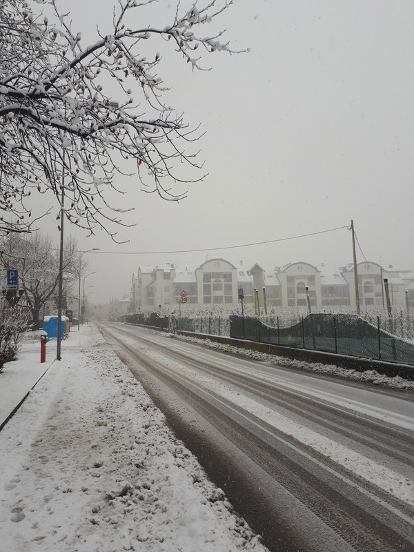 20190201_141031