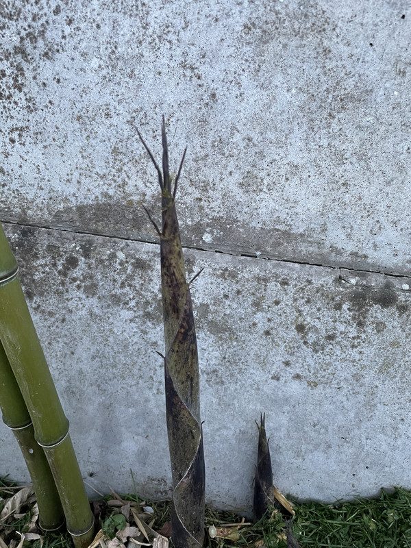 6D50CD68-785B-456C-9DC8-AB8E1F2A0863